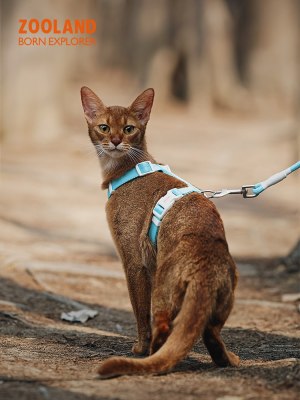 猫咪牵引绳子防挣脱外出专用溜幼小猫宠物工字胸背可调节