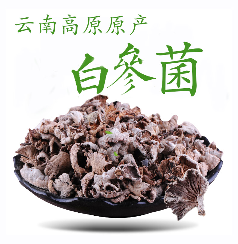 滇南云南特色野生食用菌天然白参菌150克一袋