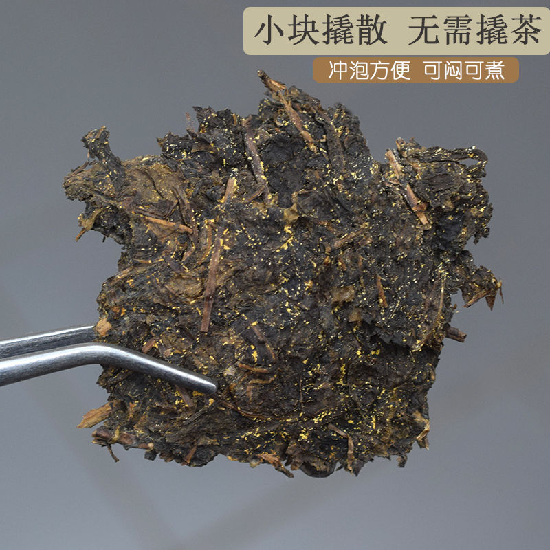 天源溪2019年露尖野茯品鉴装50g荒野老树原叶茯砖茶花香菌香