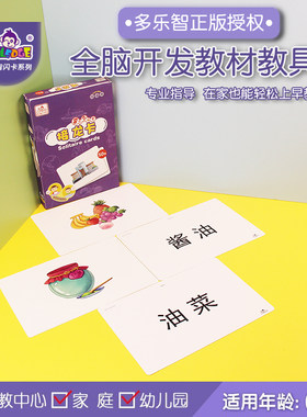 接龙卡语言智能闪卡joyledge幼儿