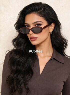 复古小椭圆墨镜大牌女高级感跨境