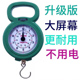 家用手提秤旅游弹簧秤教学生秤购物小秤快递秤手提秤 便携式