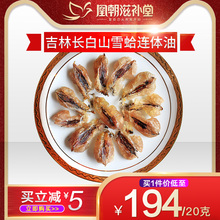 20克 东北长白山蛤蟆林蛙油雪蛤膏正品 凰朝滋补堂 雪蛤联体油