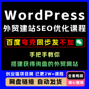 WordPress外贸建站+SEO优化课 从0到1搭建可获得询盘的外贸网站