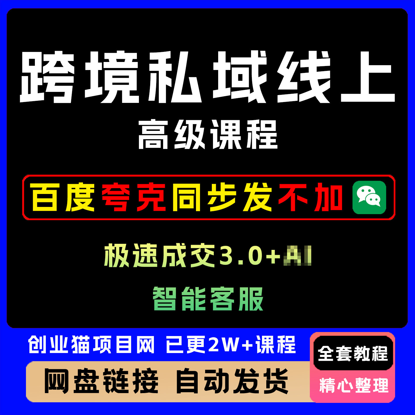 2025跨境私域极速成交线上课 基础晋级高级全套视频教程
