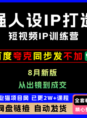 25年8月​新版全套强人设ip打造课短视频ip训练营视频教程