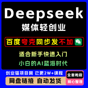 2025年DeepSeek做自媒体创业新手快速入门与进阶小白的A1蓝海时代
