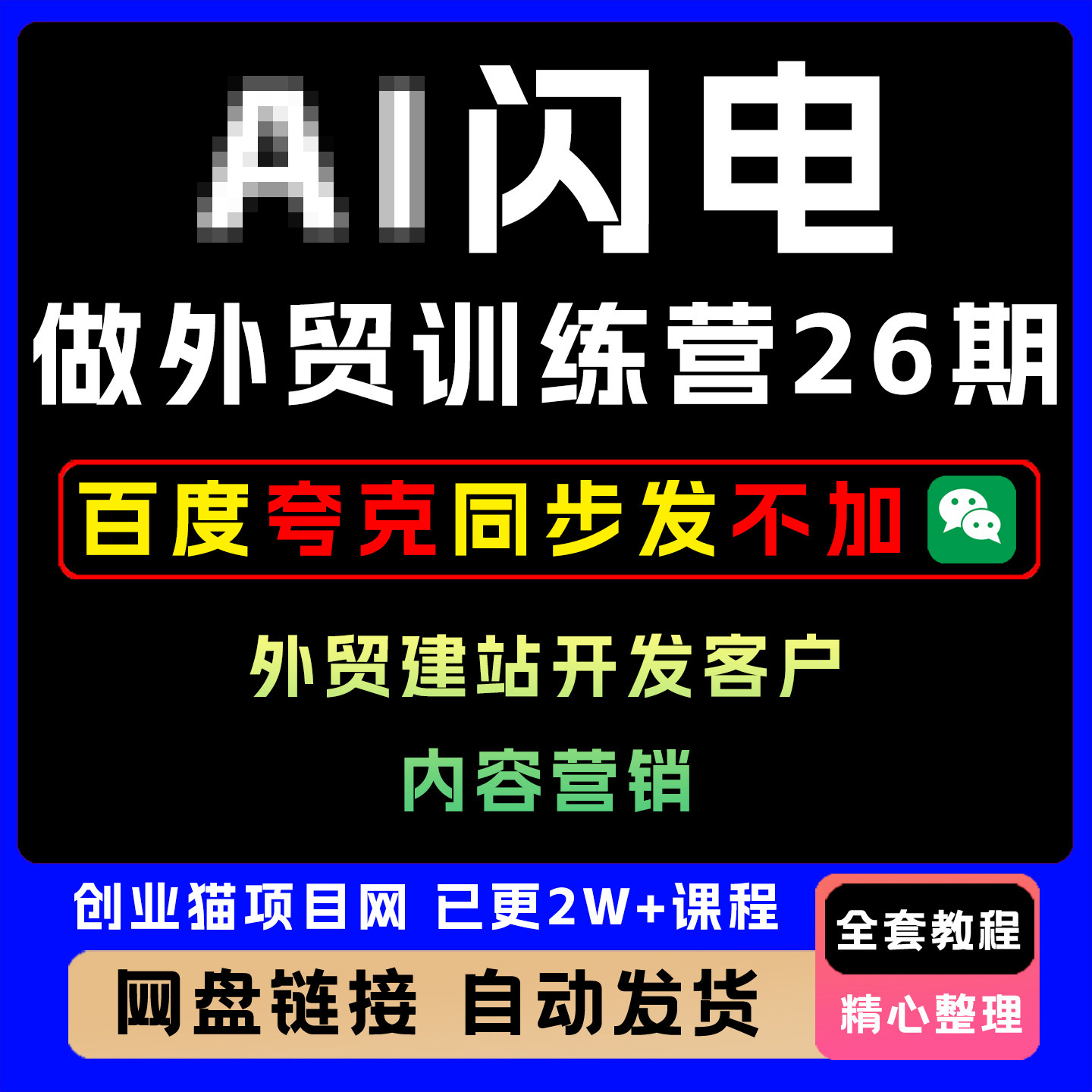 2025AI闪电做外贸训练营26期外贸建站开发客户内容营销视频教