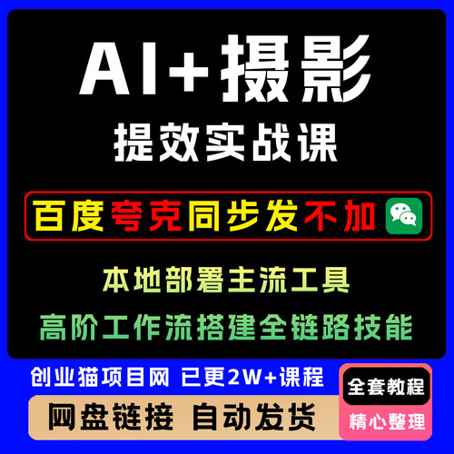 AI+摄影提效实战课本地部署主流工具高阶工作流搭建全链路技能