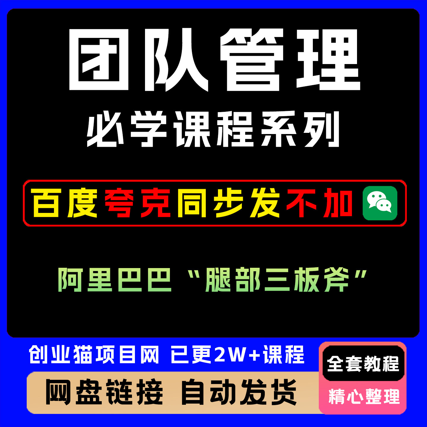 团队管理必学课程系列阿里巴巴腿部三板斧教程视频课程项目