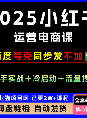 2025xhs运营电商课：新手实战＋冷启动＋流量揭秘，创业项目
