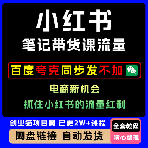 xhs笔记带货课课程流量电商新机会，抓住xhs创业的流量红利教程