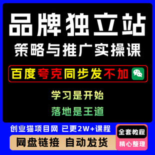 2025年品牌独立站策略与推广实操落地课全套视频精讲教学