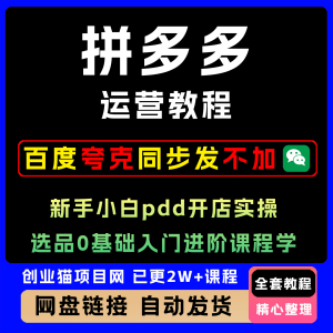 2025拼多多运营教程新手小白pdd开店实操选品0基础入门进阶课程学