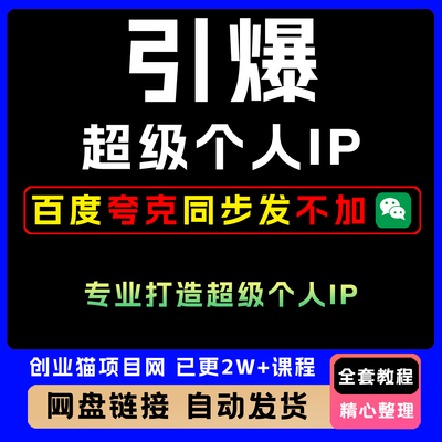 引爆超级个人IP专业打造超级个人IP全套视频精讲学习教学课程