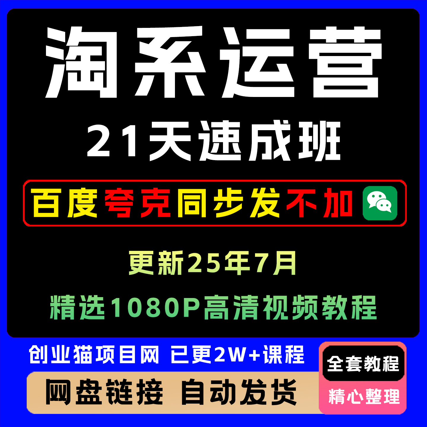 淘系运营21天速成班2025更新淘宝天猫运营实战实操教程零基础上手