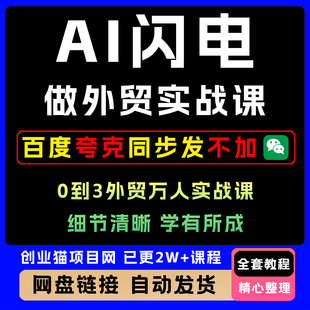 A1闪电做外贸实战-外贸建站 开发客户 内容营销 0到3A1做外贸教程