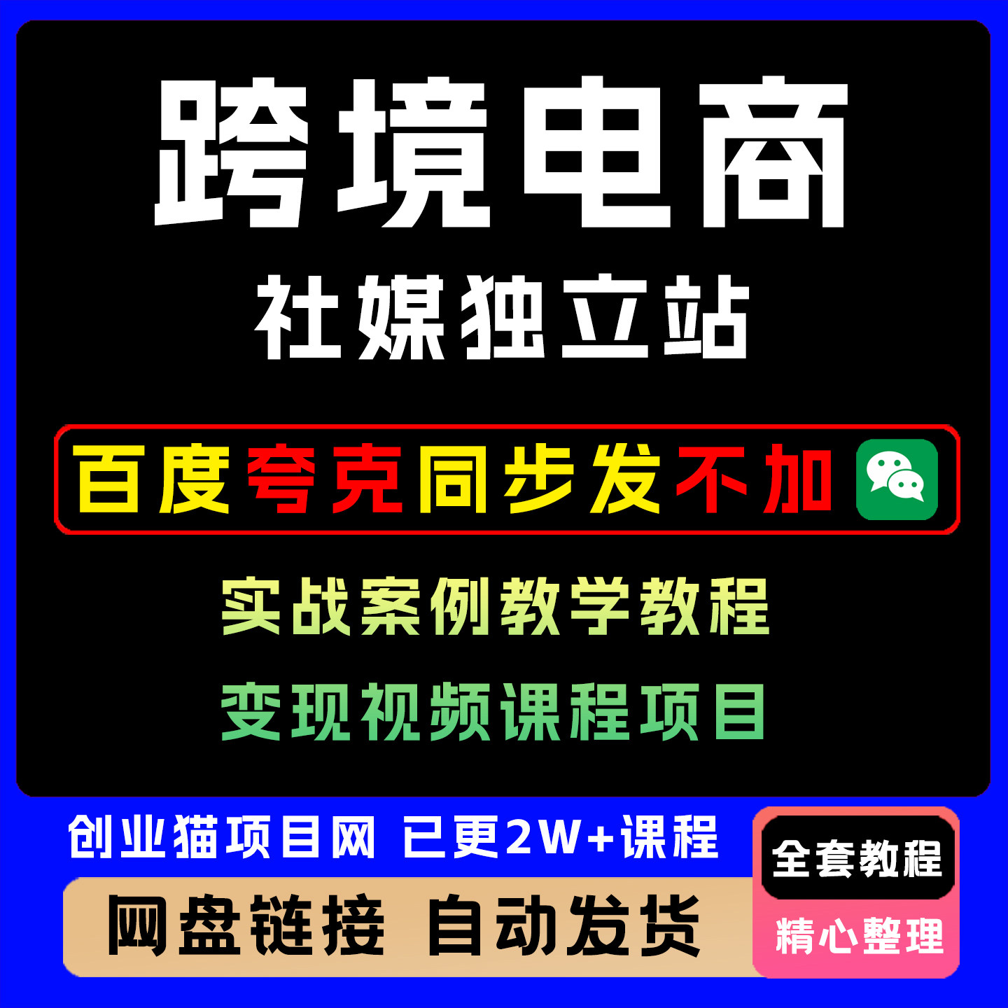 2025跨境电商新机遇社媒独立站实战案例教学教程变现视频课程项目