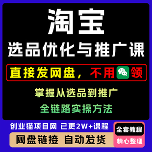 2025淘宝选品优化与推广课提升运营效率全套视频精讲学习教学课程