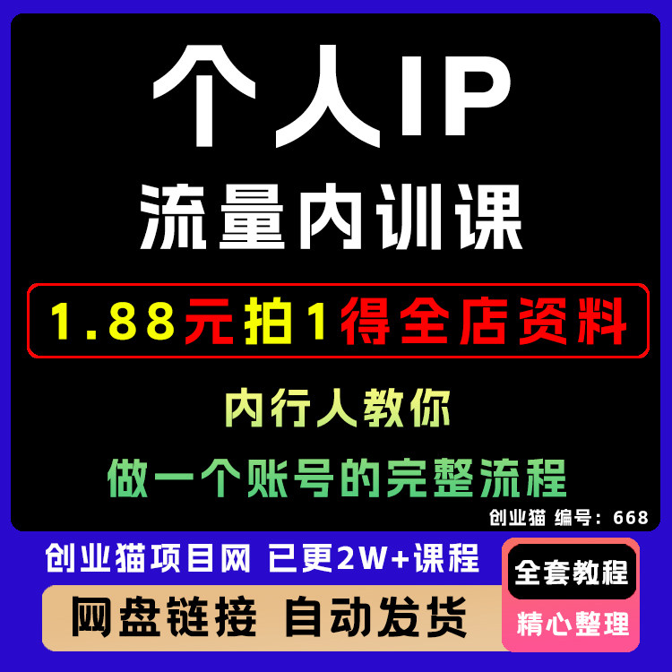 2025 个人ip流量内训视频课，内行人教你做一个账号的完整流程