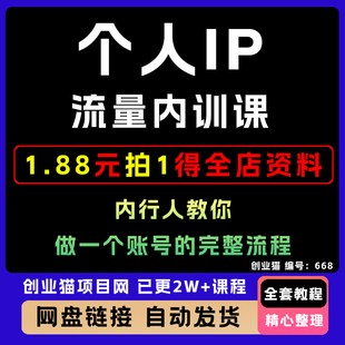 2025 个人ip流量内训视频课，内行人教你做一个账号的完整流程