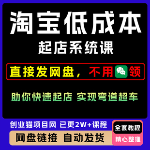 2025淘宝低成本起店系统课如何赚钱教程淘系运营视频课程副业项目