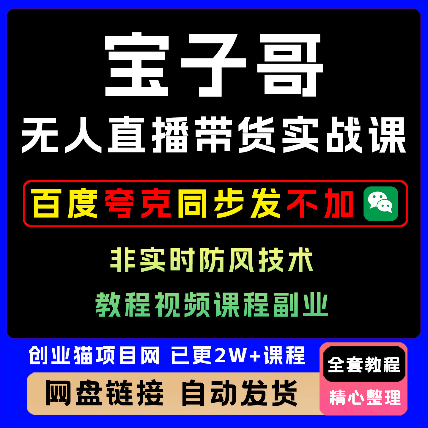 宝子哥无人直播带货实战课非实时防风技术教程视频课程副业