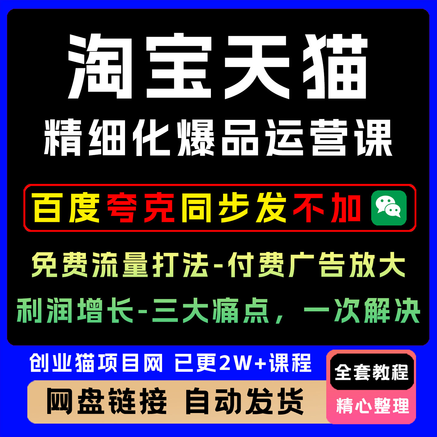 淘宝天猫精运营免流打法-付费放大-利润增长-三大痛点,一次解决