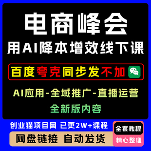 2025年电商峰会全新线下课 用A1降本增效全套详细教程