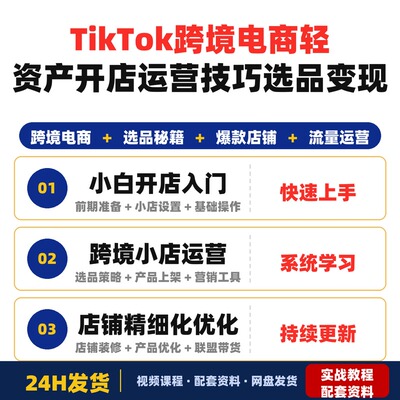 TikTok跨境电商小白轻资产开店极速盈利玩转运营技巧选品秘籍变现