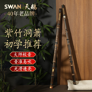 天鹅高端洞箫乐器8孔g调f调八孔初学者专业精品紫竹官方旗舰店