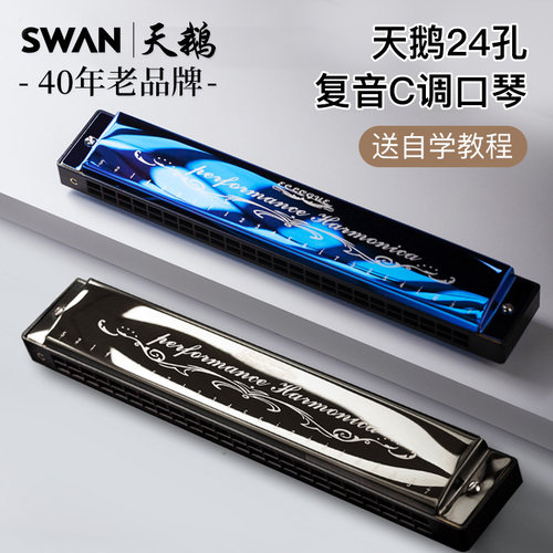 天鹅24孔复音口琴C调初学者入门
