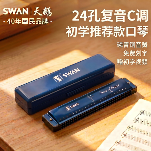 天鹅24孔复音口琴C调初学入门