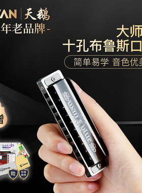 天鹅布鲁斯口琴10孔C调儿童初学者入门专业十孔ag蓝调正品paddy