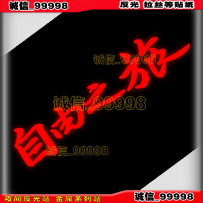 反光贴10252自由之旅引擎盖车门