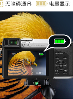 沣标BLG10适用松下gx9电池g100 LX100m2 zs220 gx85 gf6 gf5 gx7 zs110 zs80 tz85相机BLE9E双充电器