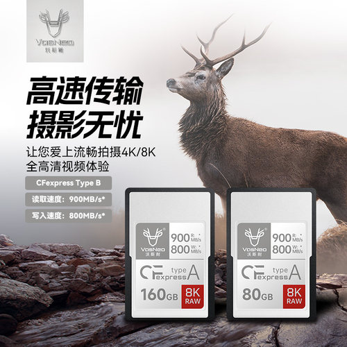 FB沣标索尼cfa存储卡80g160g相机