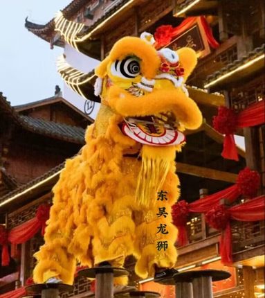舞狮道具全套南狮醒狮成人舞龙舞狮双人羊毛狮子婚庆龙狮狮子头
