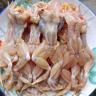 农村稻田养殖青蛙活体现杀青蛙肉田鸡黑斑蛙鲜活非牛蛙顺丰 包邮