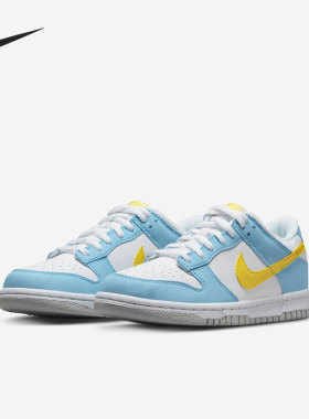 Nike/耐克正品Dunk Low新款女子运动低帮休闲板鞋DX3382-400
