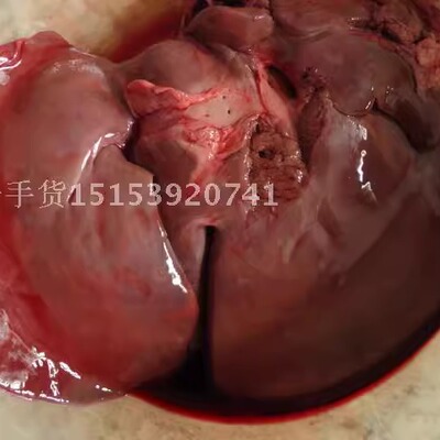 新鲜生驴肝3斤驴杂驴内脏鲜驴肉散装驴肝鲜散装宰真空饭店采购