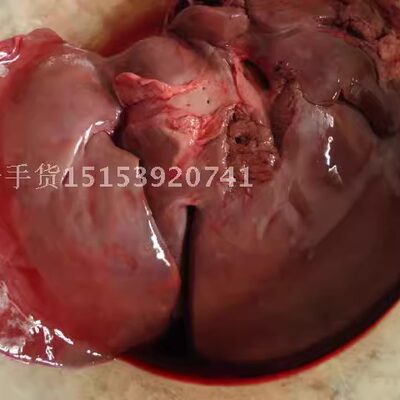 新鲜生驴肝3斤驴杂驴内脏鲜驴肉散装驴肝鲜散装现宰真空饭店采购