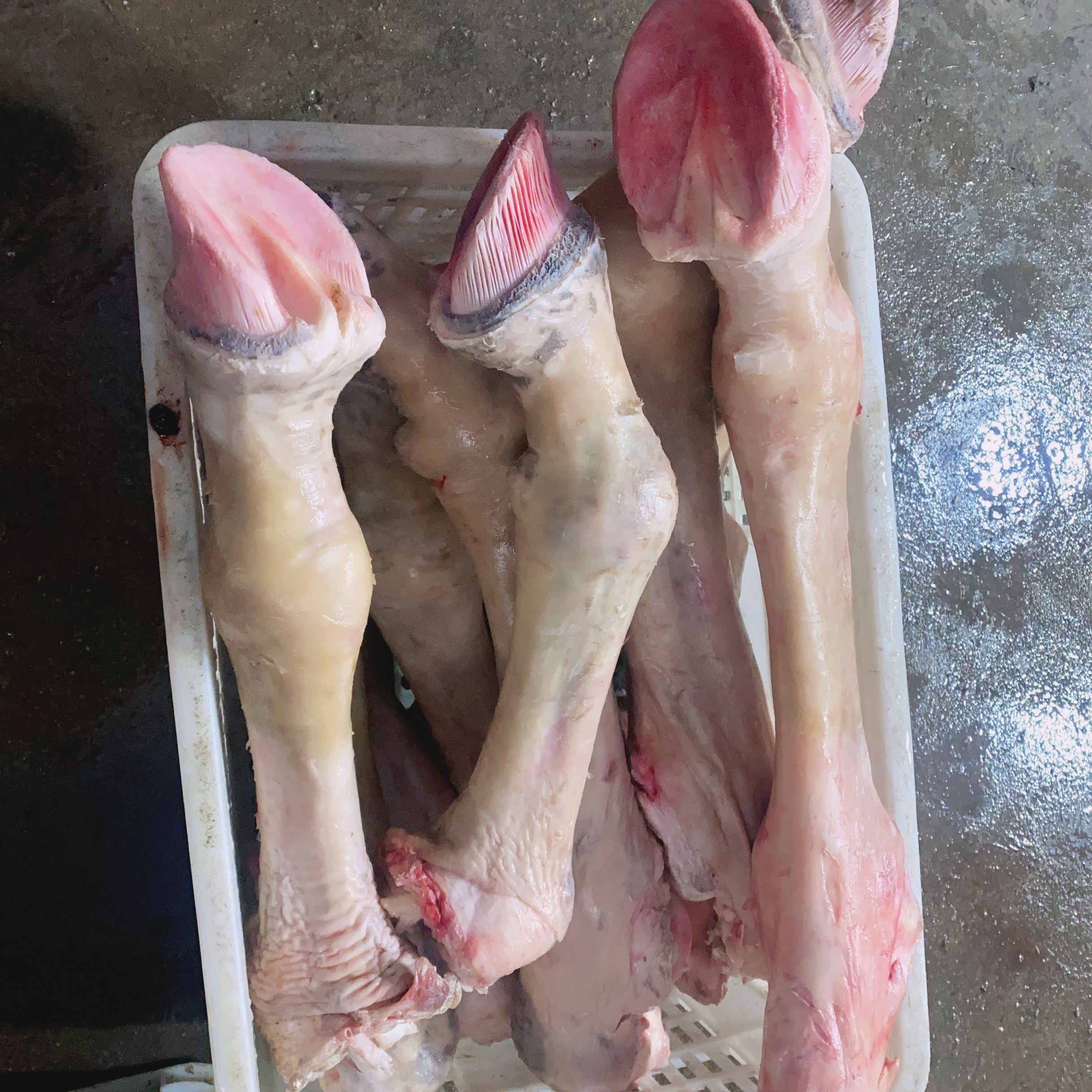 驴蹄子新鲜驴肉现宰真空包装山东