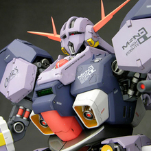 1/100 MSN-02 Zeong   自护号