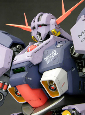 1/100 MSN-02 Zeong   自护号