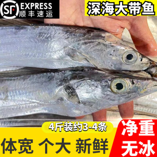新鲜特级黄海大带鱼冷冻鲜活超大连云港刀鱼整条油带鱼段海鲜水产