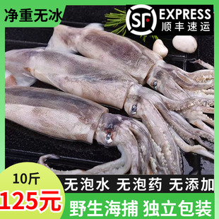 鱿鱼鲜活冷冻新鲜超大鱿鱼尤鱼整只海捕船冻烧烤铁板商用海鲜水产