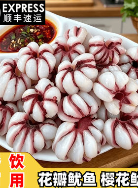花瓣鱿鱼花樱花鱿鱼花卷新鲜商用