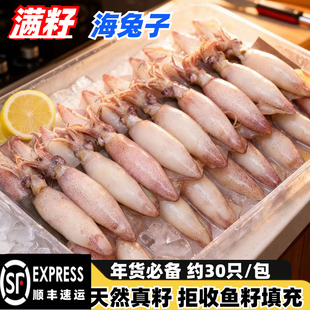 海兔子满籽鲜活笔管鱼新鲜全籽籽乌冷冻墨鱼仔乌贼小鱿鱼海鲜水产
