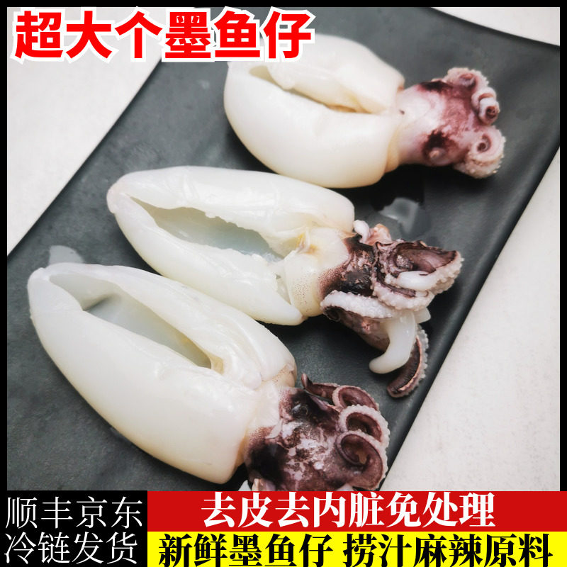 新鲜冷冻墨鱼仔海鲜水产小墨鱼蛋章鱼乌贼墨斗鱼小鱿鱼仔乌目鱼仔